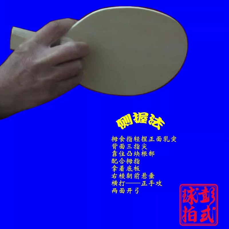 Chinese/Japanese Style Table T - огляд і ціна Table Tennis In Japanese