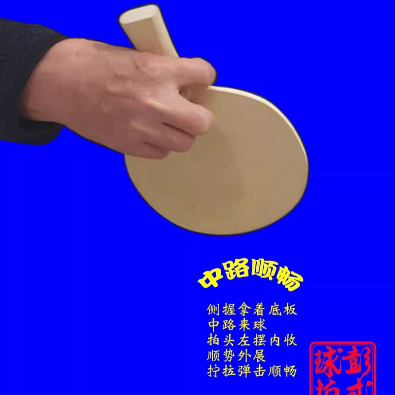 Chinese/Japanese Style Table T - огляд і ціна Table Tennis In Japanese